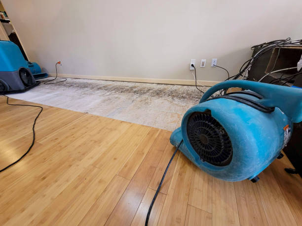 Professional Sewage Cleanup technician working in Newark, NJ